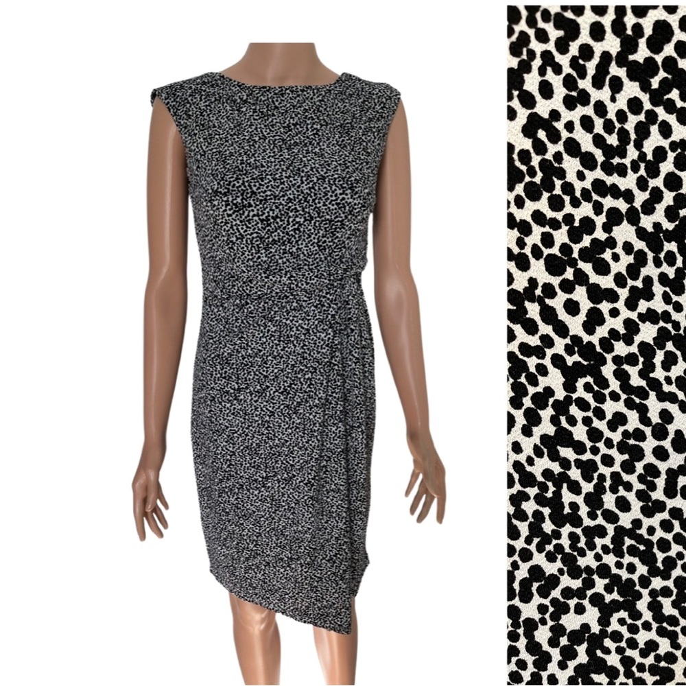 Ann Taylor black and white dress.